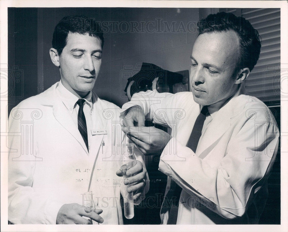 1968 University of Florida Microbiology Drs. Waldman &amp; Small Press Photo - Historic Images