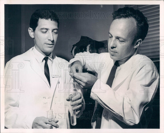 1968 University of Florida Microbiology Drs. Waldman & Small Press Photo - Historic Images