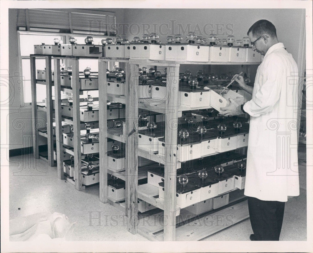1962 Tampa, Florida Encephalitis Lab Research Press Photo - Historic Images