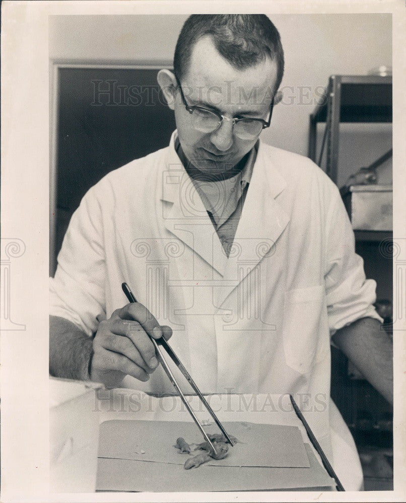 1962 Tampa, Florida Encephalitis Lab Research Press Photo - Historic Images