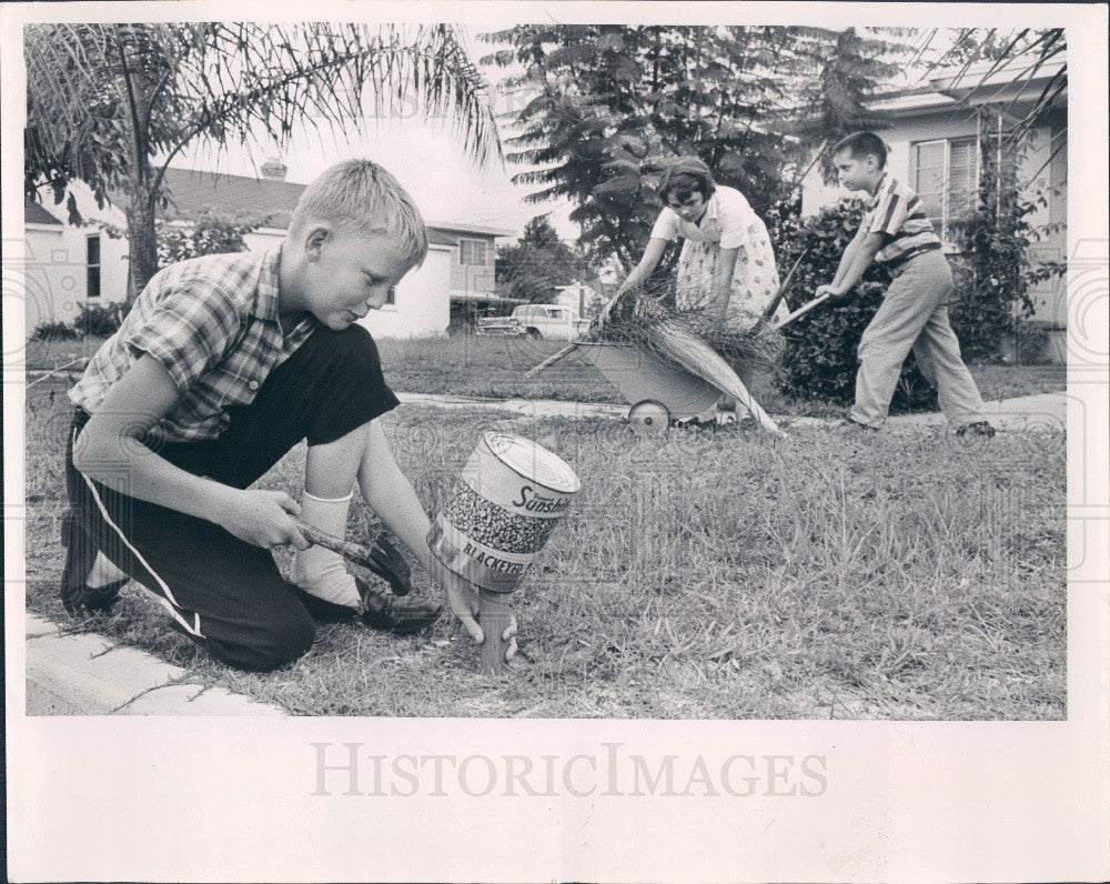 1962 St Petersburg, Florida Encephalitis Outbreak Yard Cleanup Press Photo - Historic Images