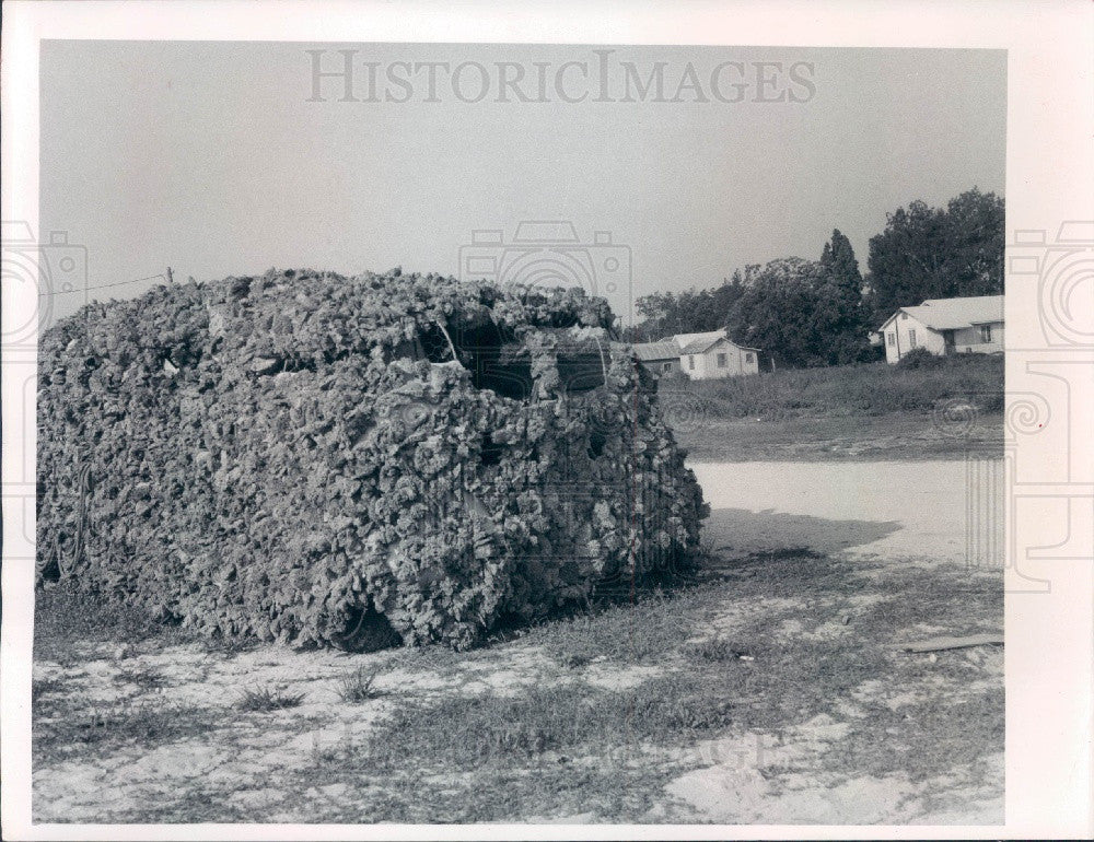 1971 Tarpon Springs, Florida Sponge-Covered Jeep Press Photo - Historic Images