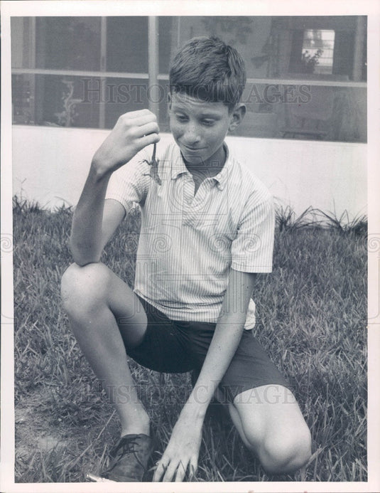 1967 Meadowlawn, Florida Billy Walker & Chameleon Press Photo - Historic Images