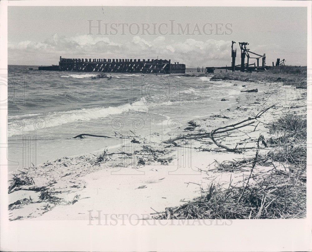 1966 St Petersburg Florida Bee Line Ferry Terminal Press Photo - Historic Images