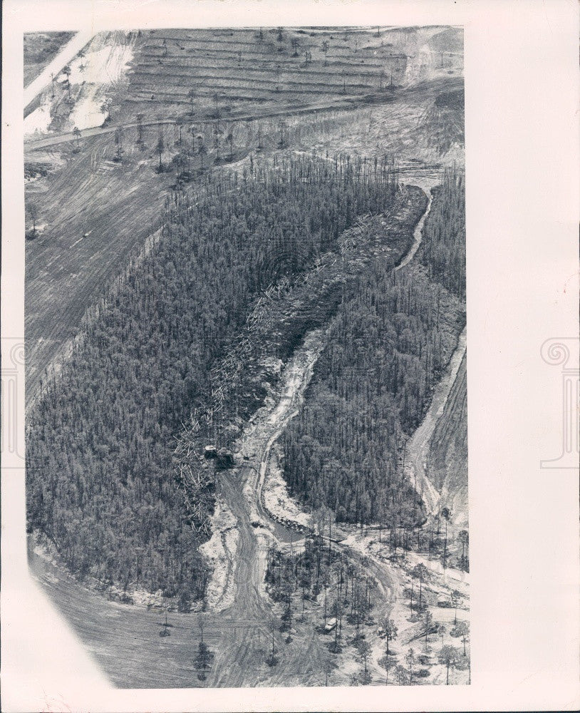 1973 Florida Swamp Aerial View, Drainage Ditch South of SR 580 Press Photo - Historic Images