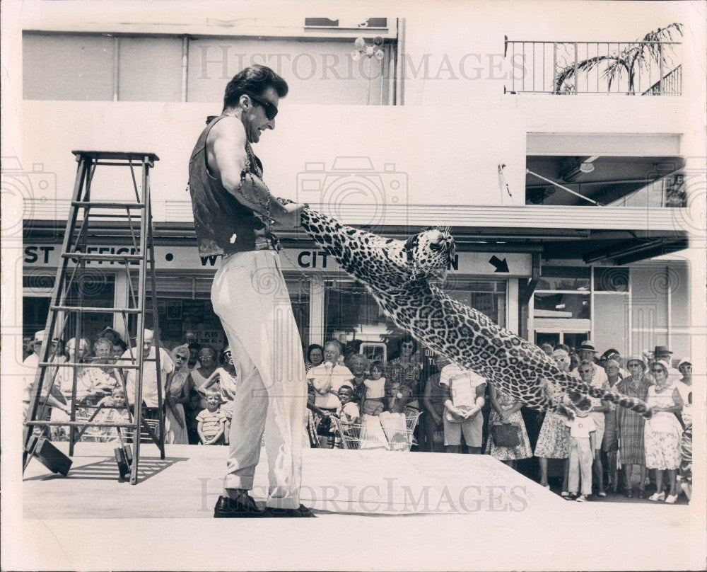 1964 Indian Leopard &amp; Trainer Hubert Wells Press Photo - Historic Images