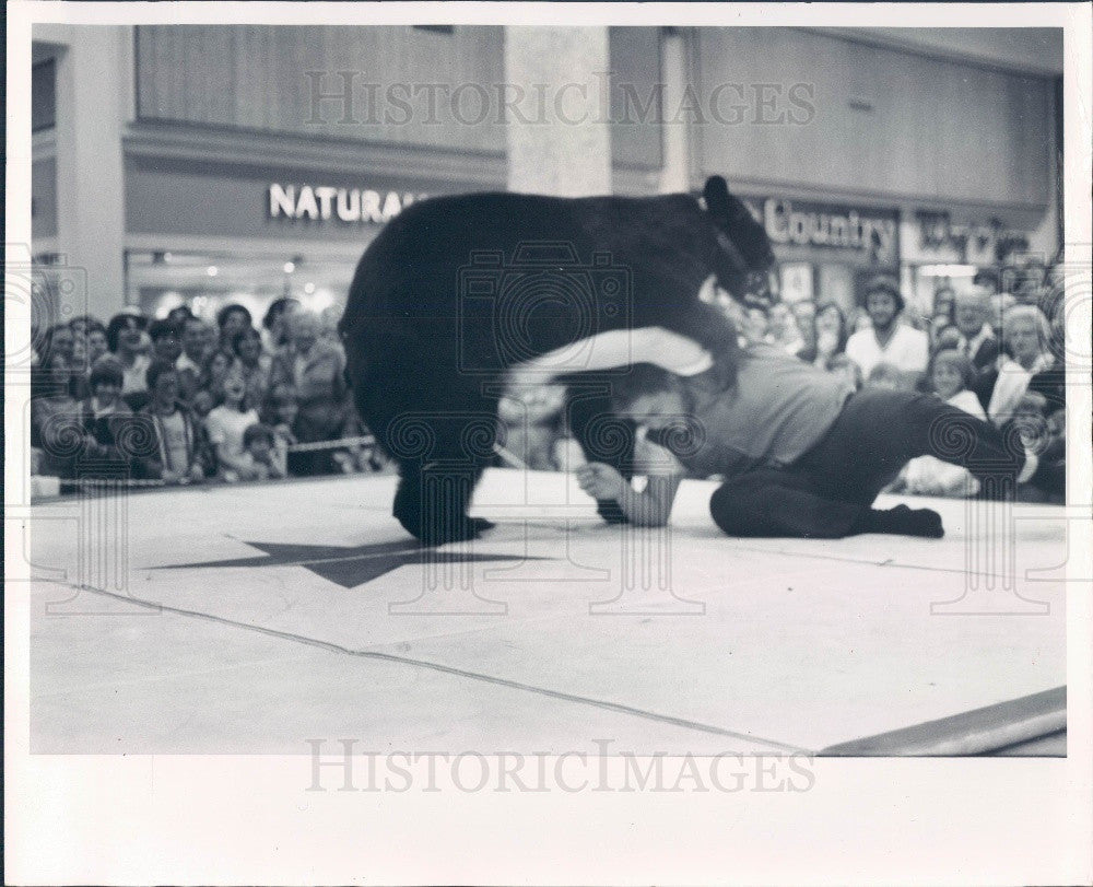 1978 Victor the Rassling Bear Press Photo - Historic Images