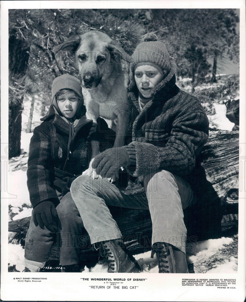 1975 Hollywood Actors Christian Juttner &amp; Jeff East &amp; Dog Boomer Press Photo - Historic Images