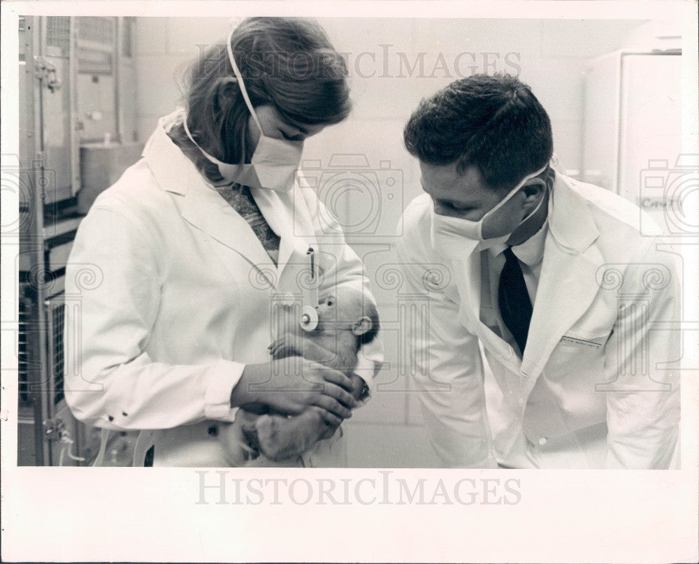 1966 University of Florida Health Center 3 Week Old Rhesus Monkey Press Photo - Historic Images