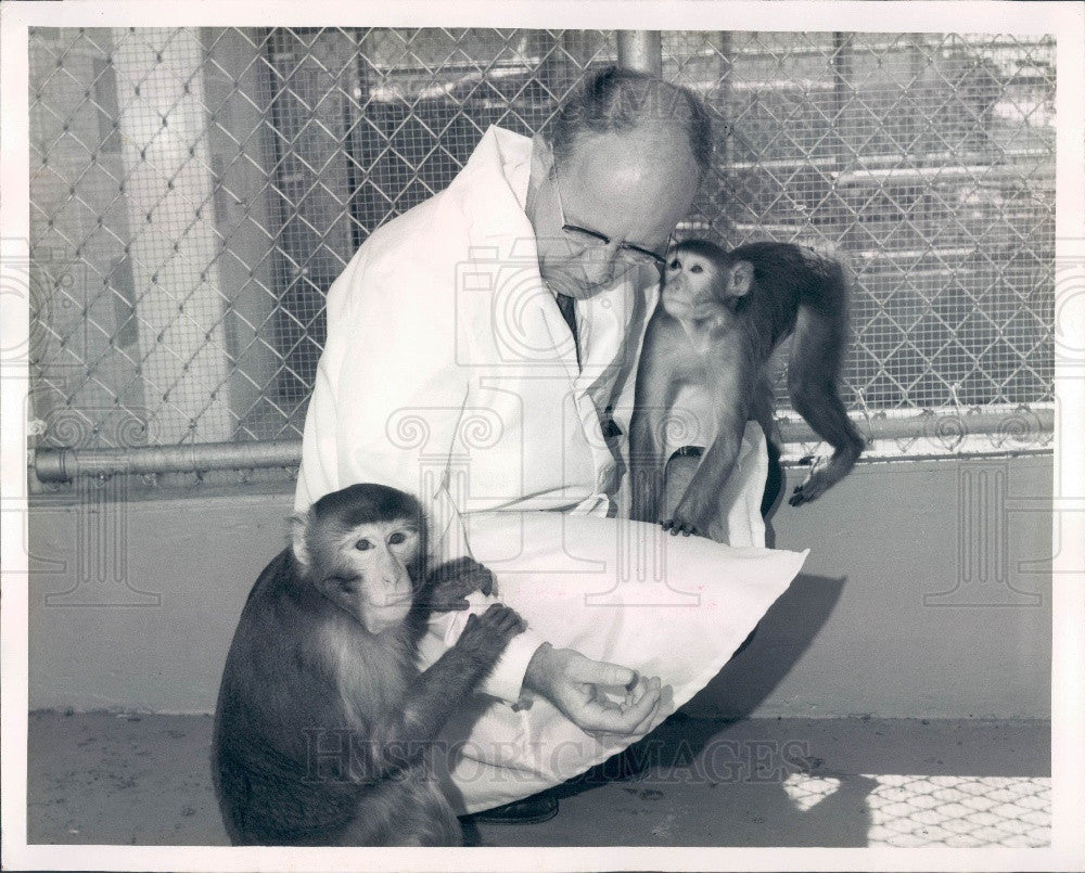 1963 University of Florida Health Center Primate Colony Press Photo - Historic Images