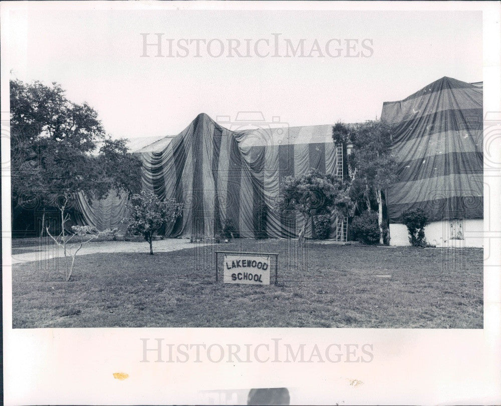 1974 St Petersburg Florida Lakewood Elementary School Termite Issue Press Photo - Historic Images