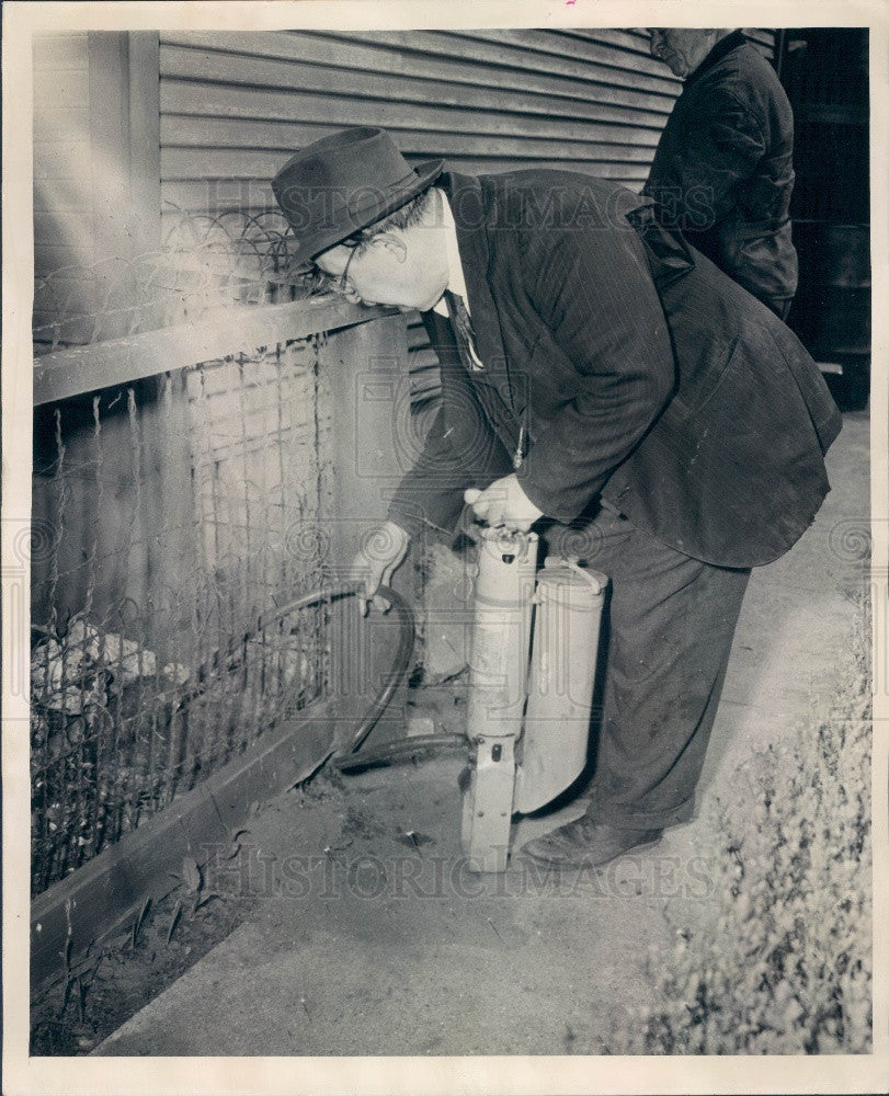 1944 Chicago, Illinois City Rat Exterminator Press Photo - Historic Images