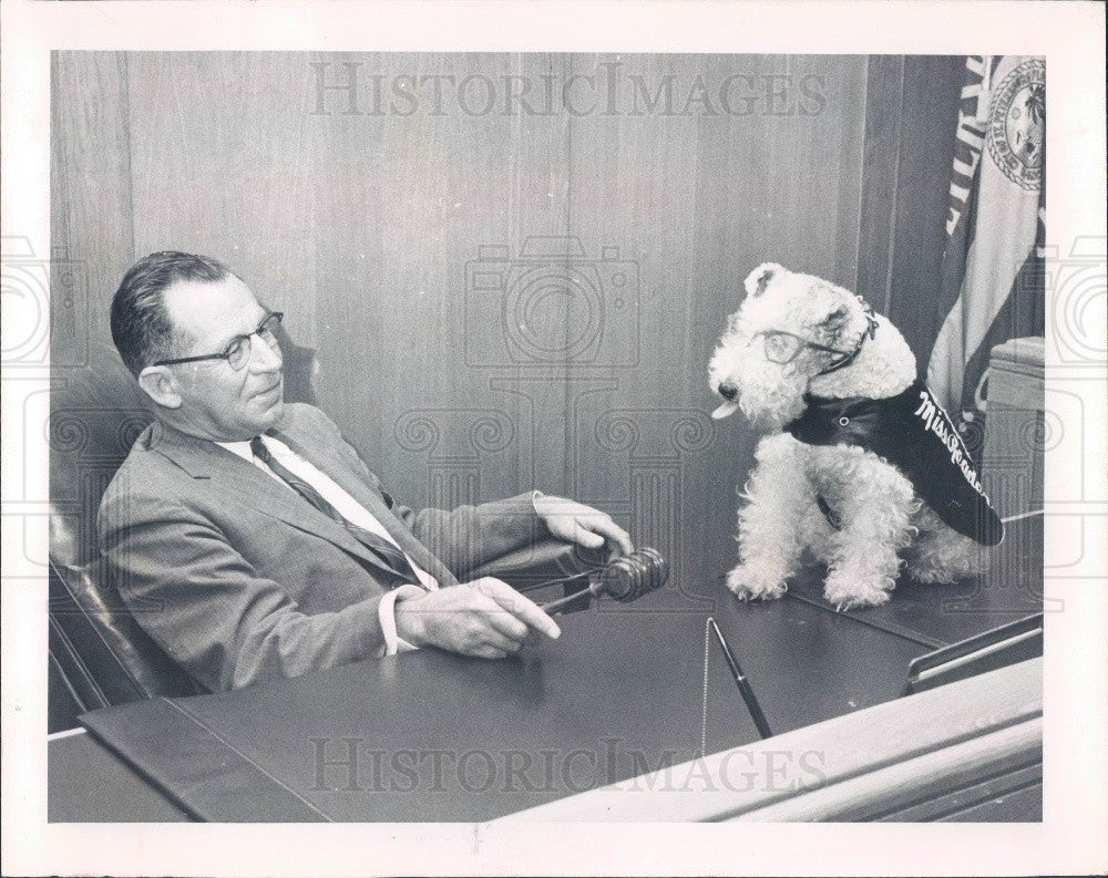 1959 St. Petersburg, Florida Times Safety Dog Miss Reader Press Photo - Historic Images