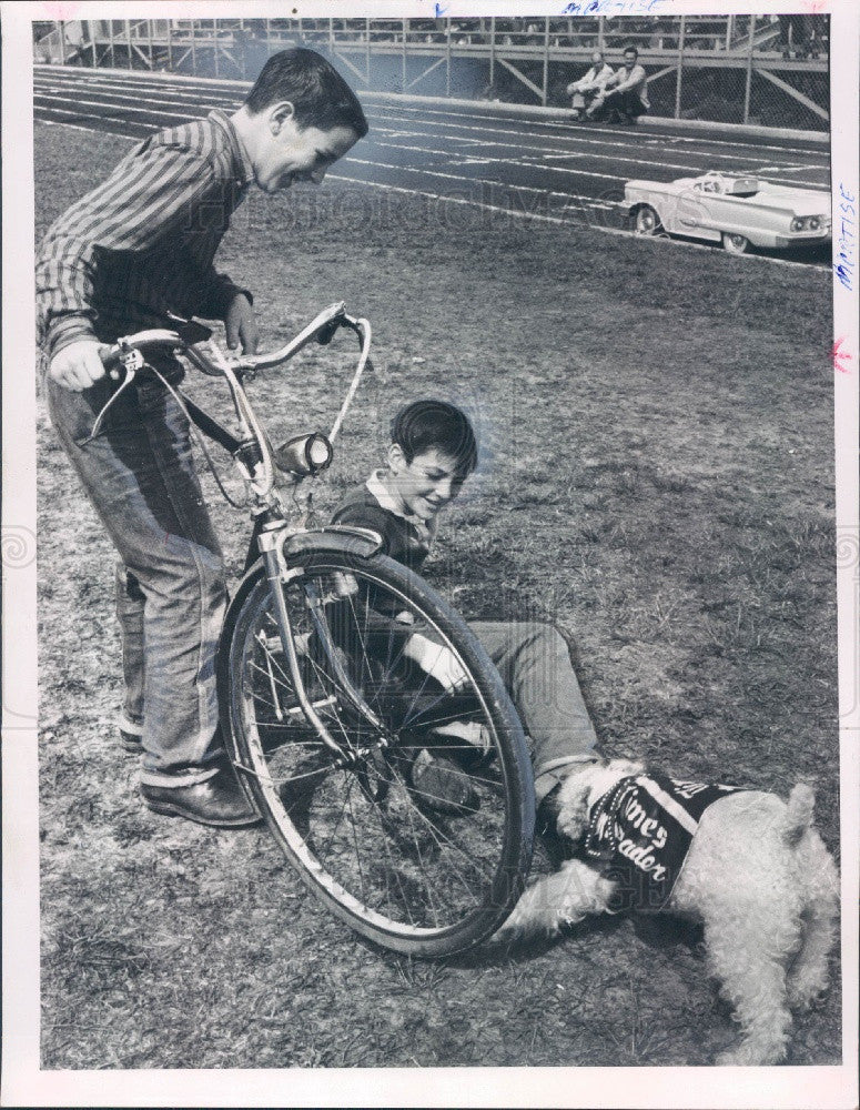 1959 St. Petersburg, Florida Times Safety Dog Miss Reader Press Photo - Historic Images