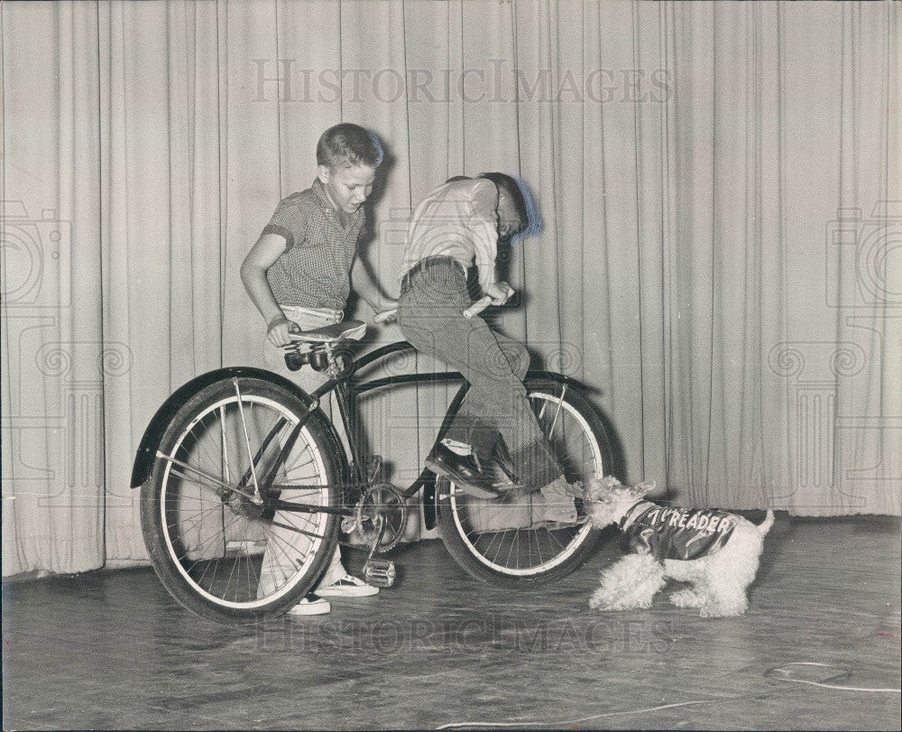 Undated St. Petersburg, Florida Times Safety Dog Miss Reader Press Photo - Historic Images