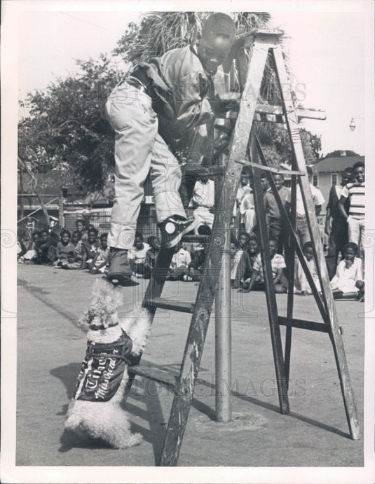 1959 St. Petersburg, Florida Times Safety Dog Miss Reader Press Photo - Historic Images