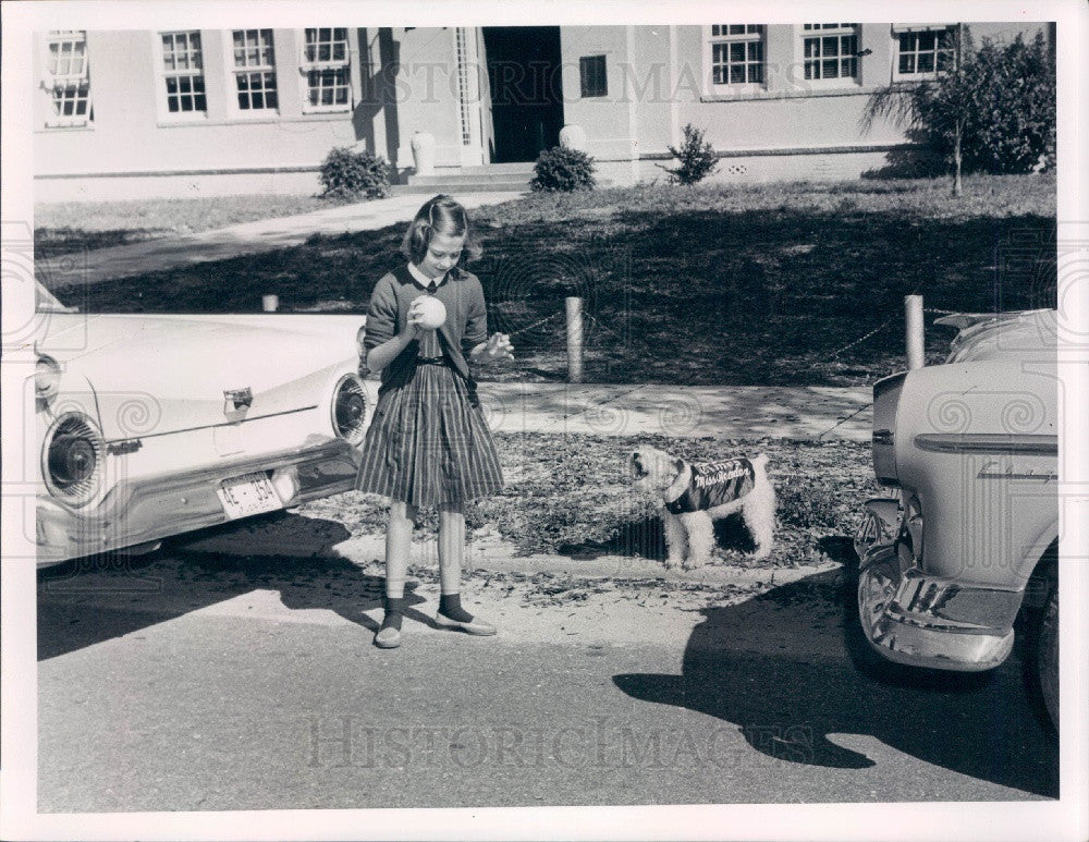 Undated St. Petersburg, Florida Times Safety Dog Miss Reader Press Photo - Historic Images