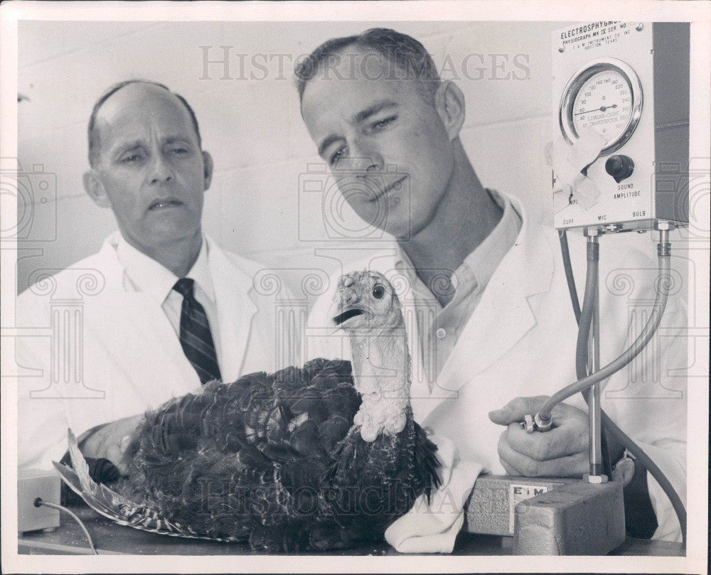 1968 University of Florida, Gainesville Agriculture Dept Press Photo - Historic Images