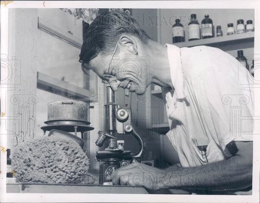 1955 University of Florida, Gainesville Sponge Research Projects Press Photo - Historic Images
