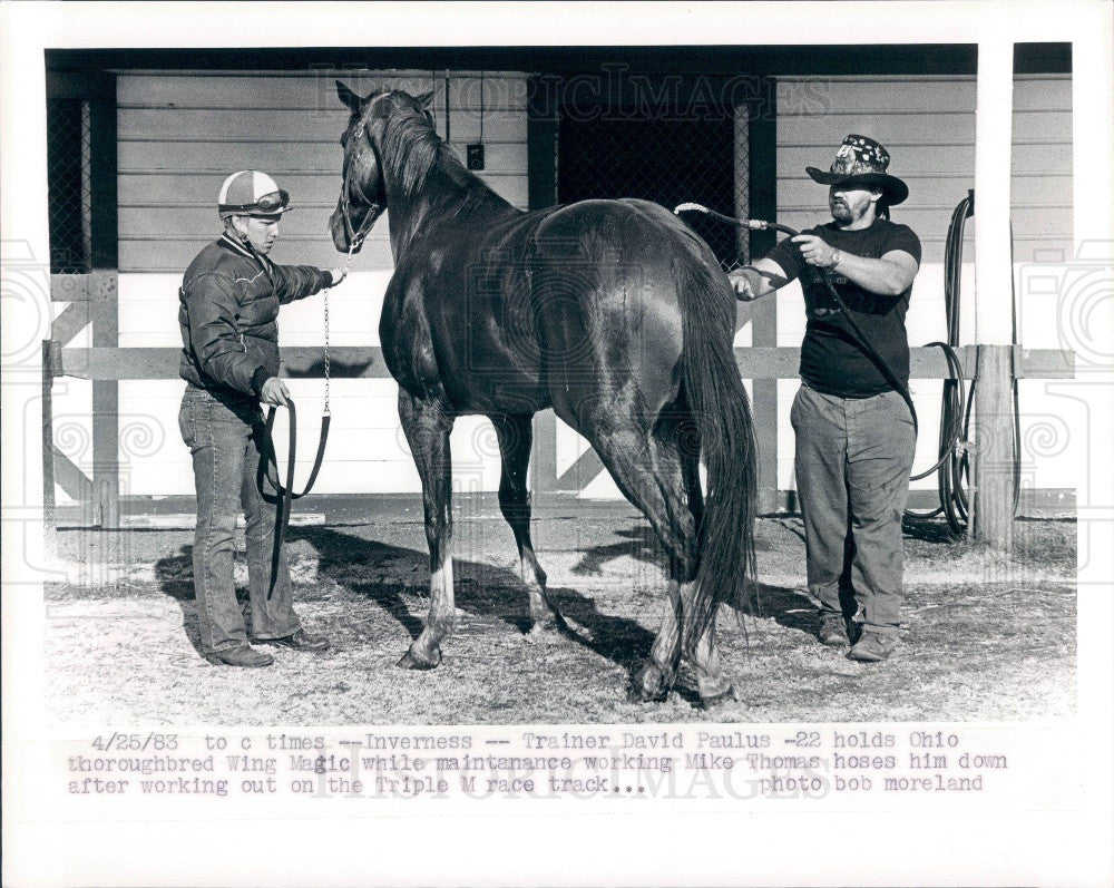 1983 Inverness, Florida Triple M Horse Farm Thoroughbred Wing Magic Press Photo - Historic Images