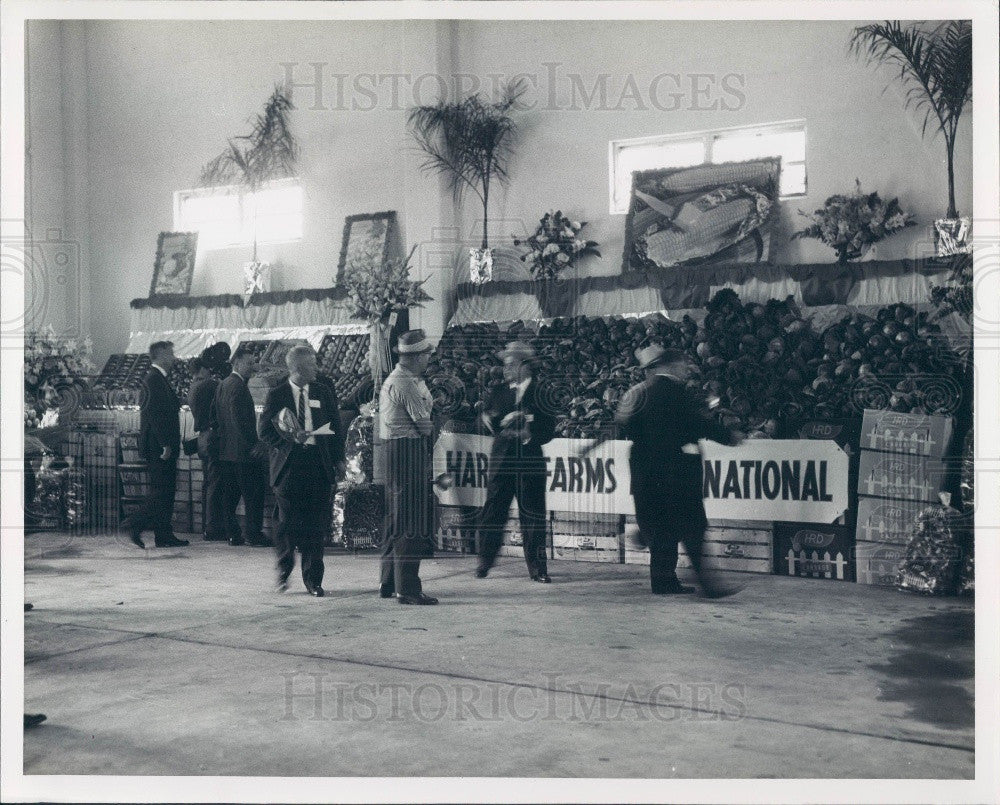 1961 Lake Placid Tropical Farms Produce Press Photo - Historic Images