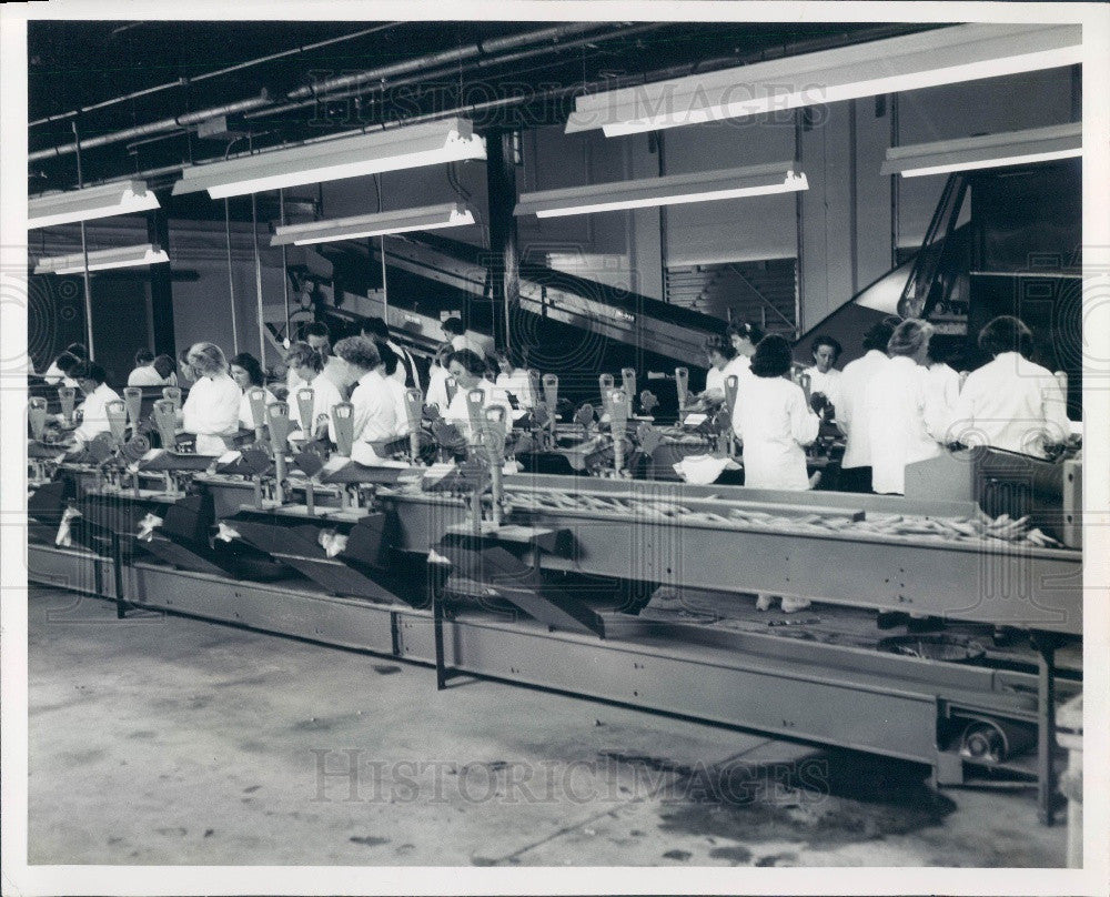 1961 Lake Placid Tropical Farms Produce Packing Plant Press Photo - Historic Images