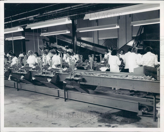 1961 Lake Placid Tropical Farms Produce Packing Plant Press Photo - Historic Images