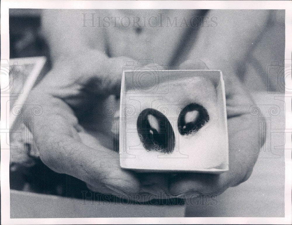 1970 St. Petersburg Florida Lapidary, Finished Black Jade Press Photo - Historic Images