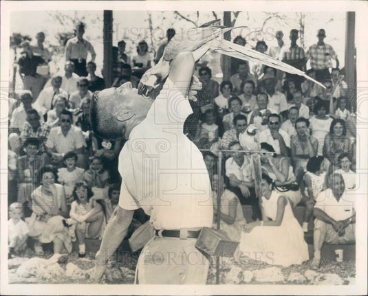 Undated Tampa, Florida Busch Gardens Bird Show Parrot Press Photo - Historic Images
