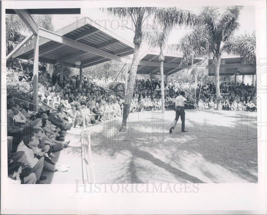 1969 Tampa, Florida Busch Gardens Bird Show Press Photo - Historic Images