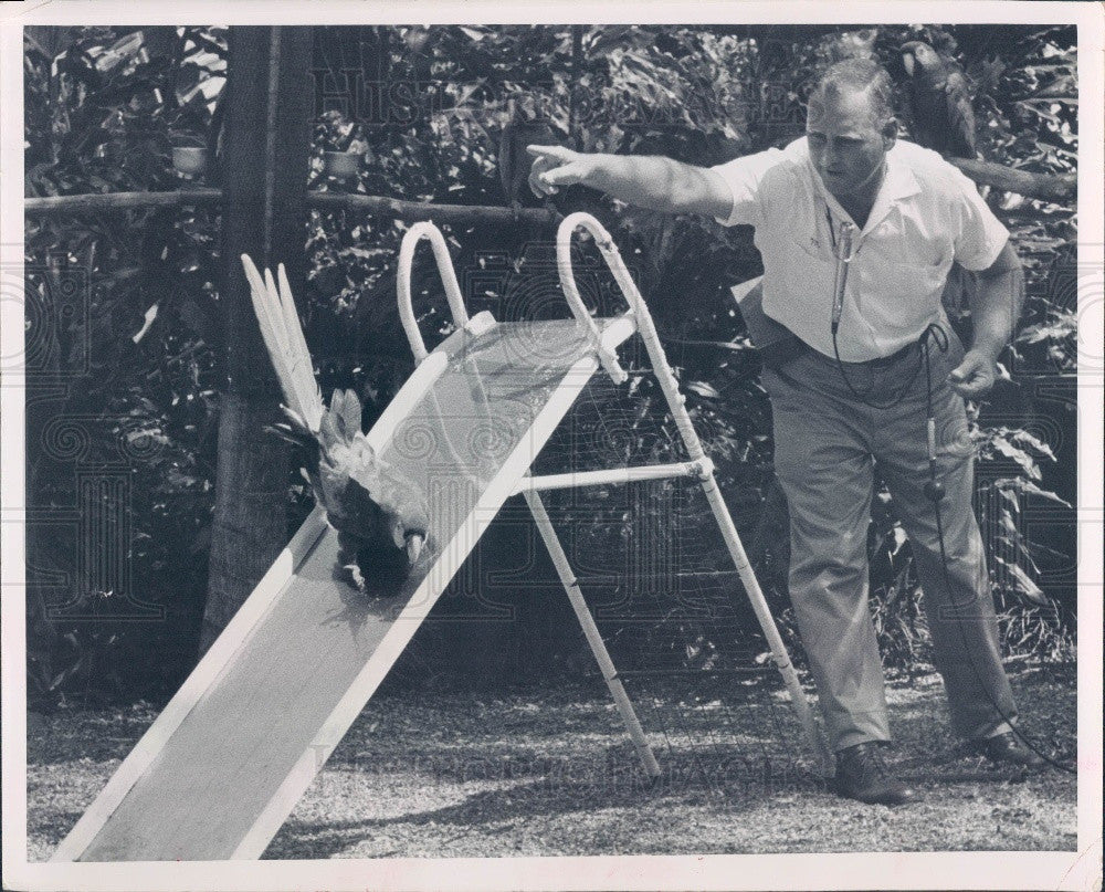 1963 Tampa, Florida Busch Gardens Bird Show Press Photo - Historic Images