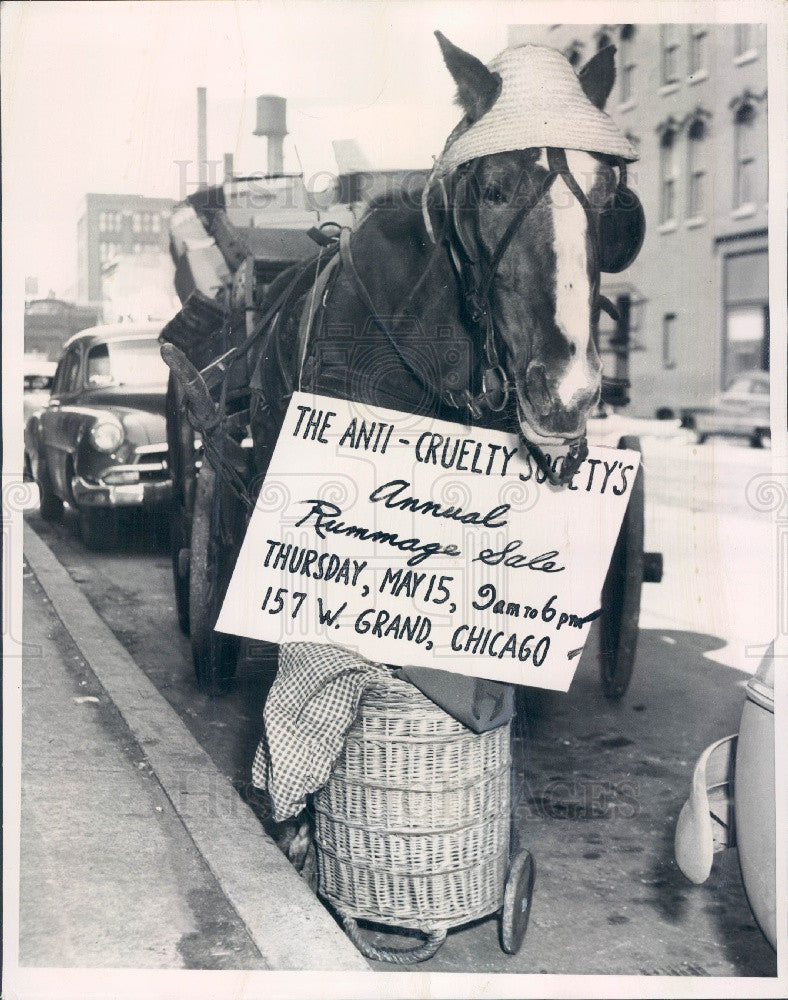 1952 Chicago, Illinois Anti-Cruelty Society Rummage Sale Ad Press Photo - Historic Images