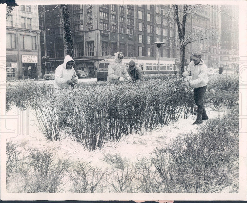 1962 Chicago, Illinois Art Institute Hedge Trimmers Press Photo - Historic Images