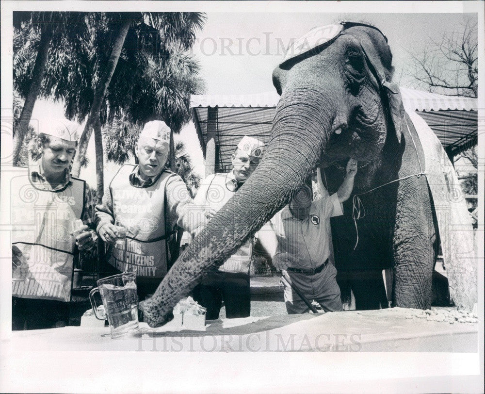 1983 Tampa, FL Busch Gardens Mem the Elephant Peanut Eating Contest Press Photo - Historic Images