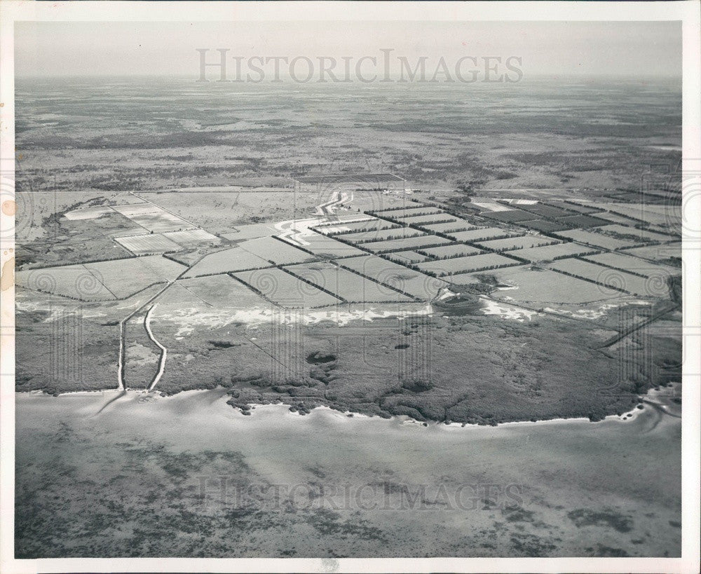 1957 Florida La Vida Community Construction Aerial View Press Photo - Historic Images
