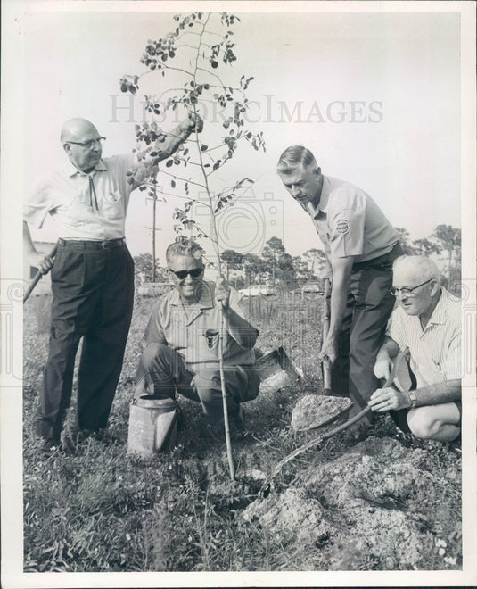 1965 Pinellas County, Florida Suncoast Botanical Garden Press Photo - Historic Images