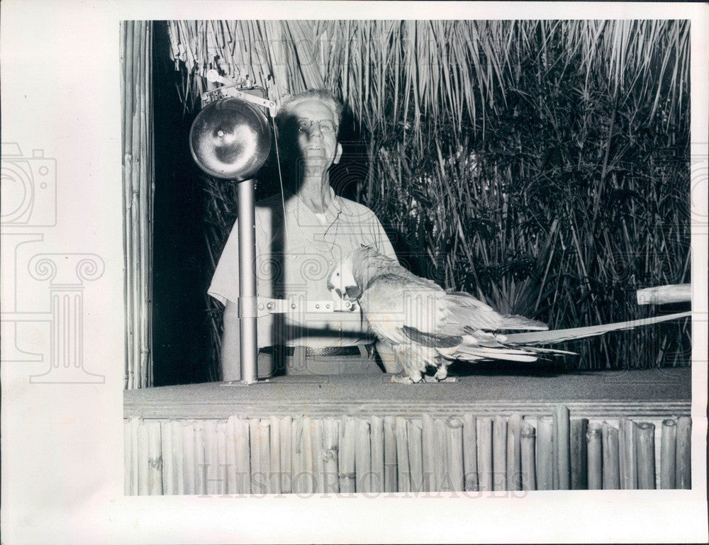 1971 Weeki Wachee Spring, Florida Bird Show Trainer Rip Press Photo - Historic Images