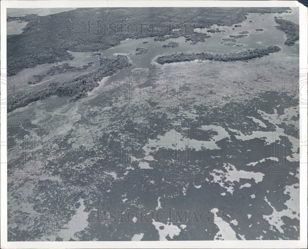 1967 St. Petersburg FL Weedon Island Underwater Shallows Aerial View Press Photo - Historic Images