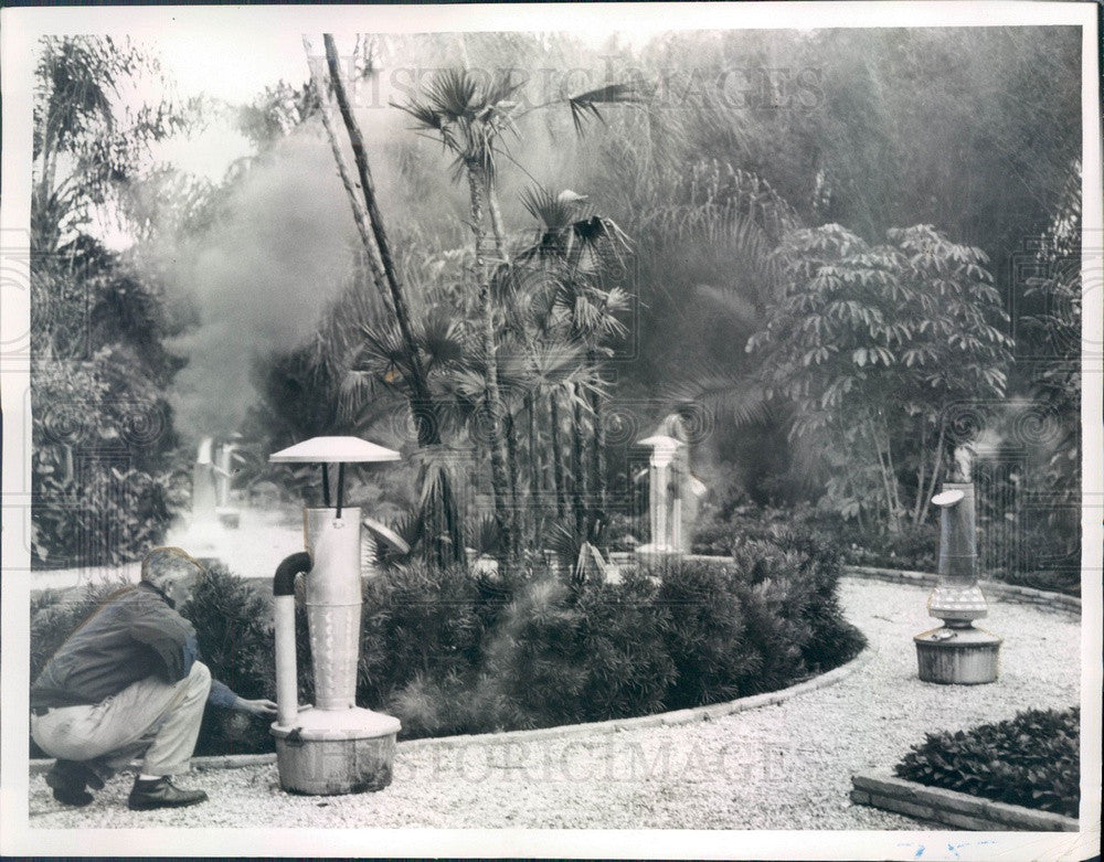 1955 St. Petersburg Florida Weddings Nursery Heat Pot Press Photo - Historic Images