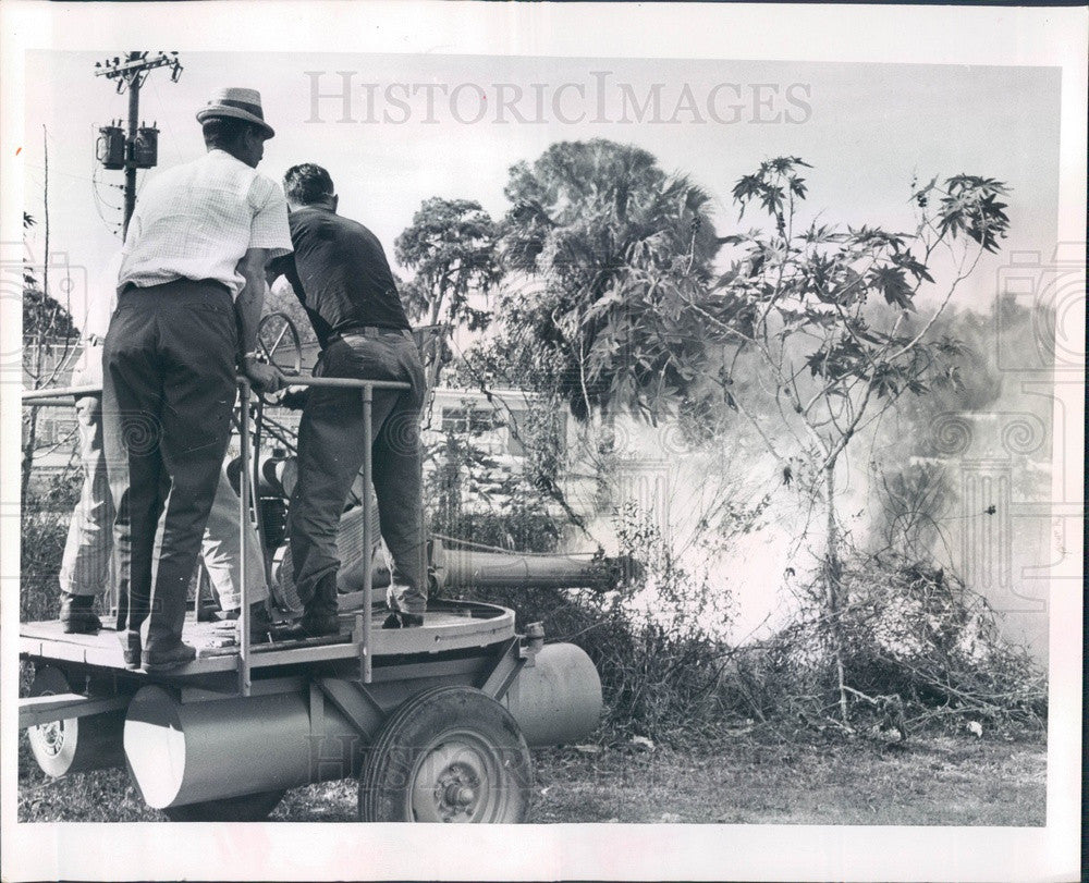 1966 Bradenton, Florida Flamethrower Burns Out Overgrown Ditch Press Photo - Historic Images