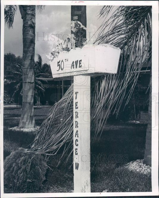 1965 Bradenton, Florida Street Sign Planter Press Photo - Historic Images