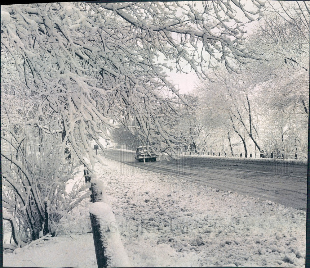 1961 Chicago, Illinois Snow Covered Trees Golf Road Press Photo - Historic Images