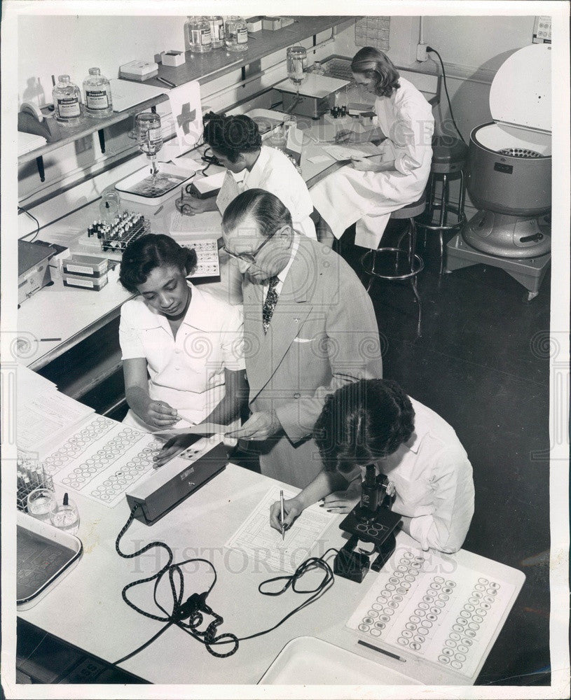 1952 Chicago, Illinois Red Cross Lab Types Blood to Send to Korea Press Photo - Historic Images