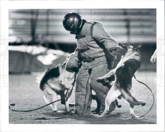 1992 Pinellas County, Florida Police K-9 Graduation Demonstration Press Photo - Historic Images