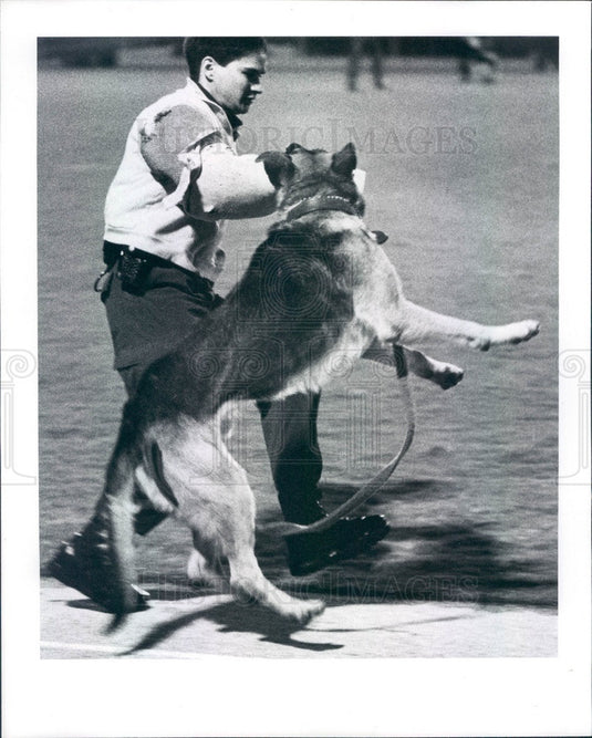 1992 Pinellas County, Florida Police K-9 Graduation Demonstration Press Photo - Historic Images