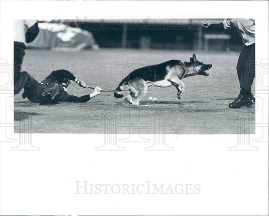 1992 Pinellas County, Florida Police K-9 Graduation Demonstration Press Photo - Historic Images