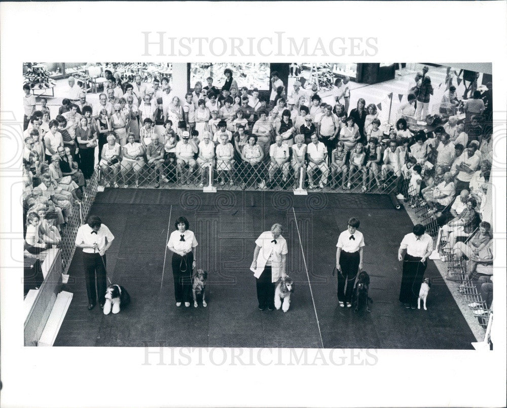 1981 St. Petersburg Florida Dog Fanciers Assoc Dog Show Press Photo - Historic Images