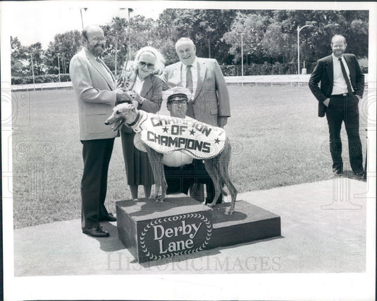 1988 St. Petersburg FL Derby Lane Greyhound of the Year K's Broadway Press Photo - Historic Images