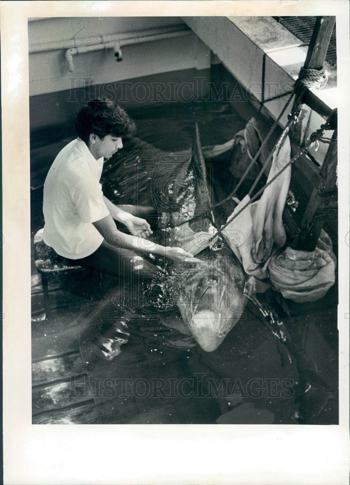 1984 Clearwater, FL Marine Science Center Nurses Injured Dolphin Press Photo - Historic Images