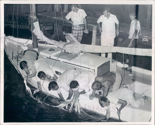 1966 Tarpon Springs, Florida Dolphin Washed Ashore by Hurricane Alma Press Photo - Historic Images